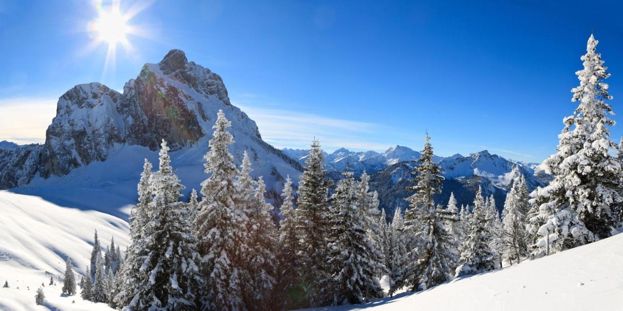 Vitallgäu-neues Mit Königscard *